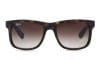 Ray-Ban 4165 Justin