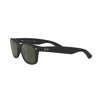 New Wayfarer Square Sunglasses
